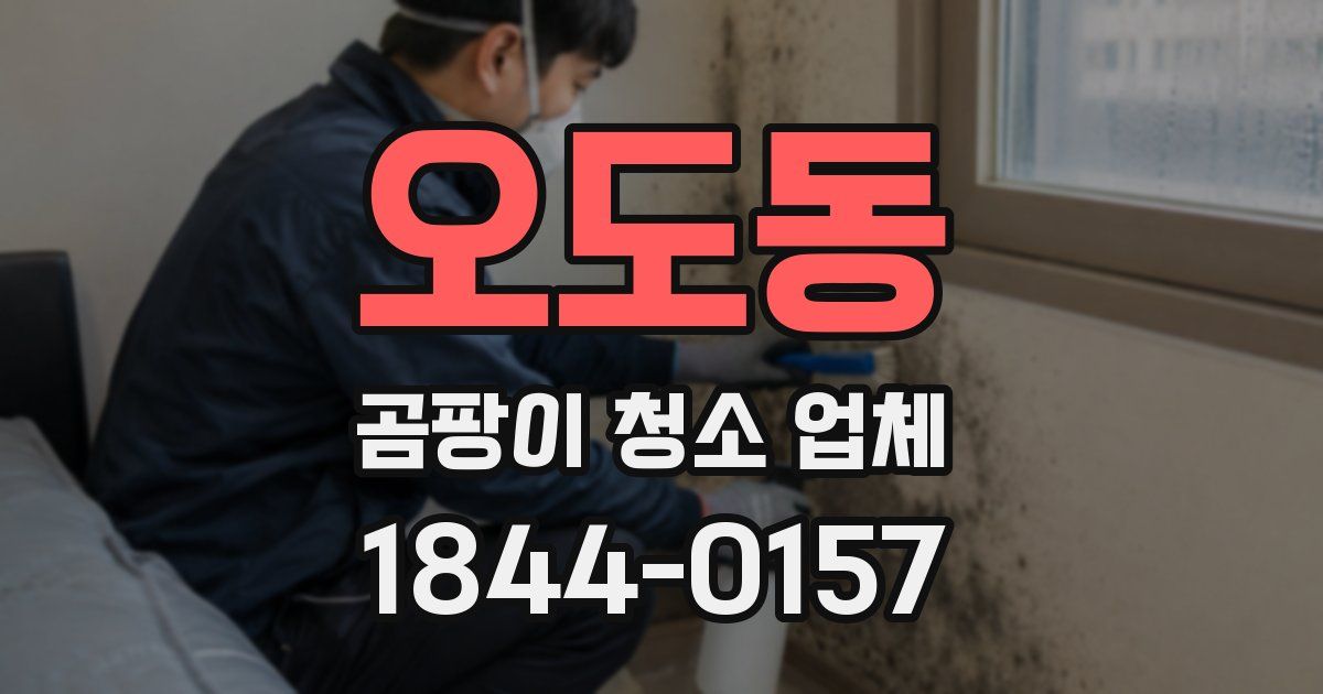 오도동 곰팡이 청소 업체