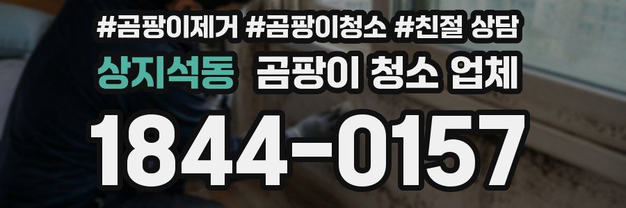 상지석동 곰팡이 청소 업체