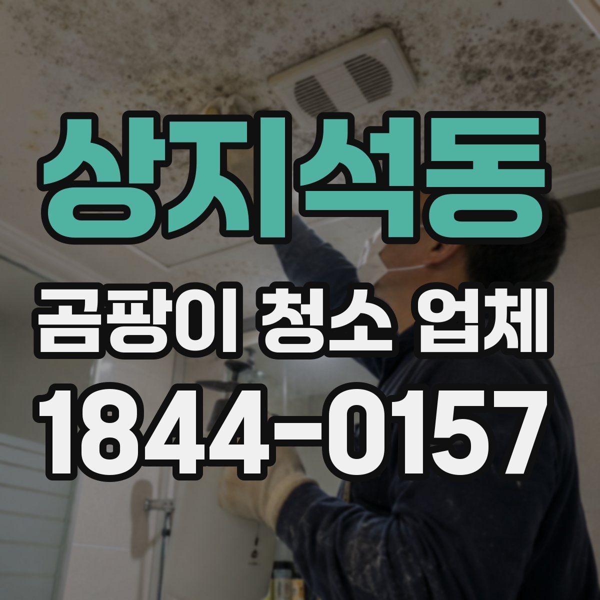 상지석동 곰팡이 청소 업체
