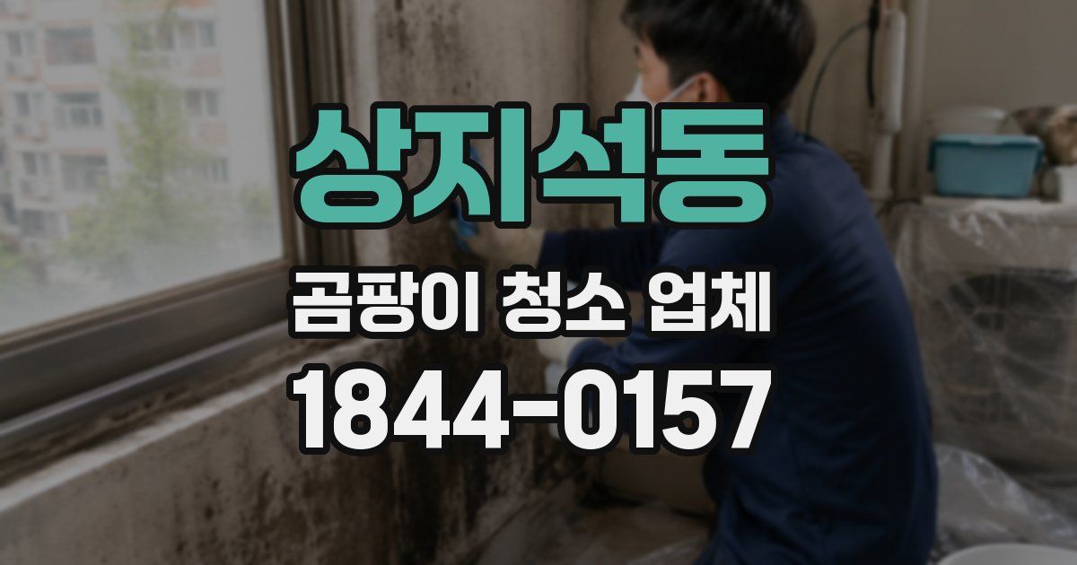 상지석동 곰팡이 청소 업체