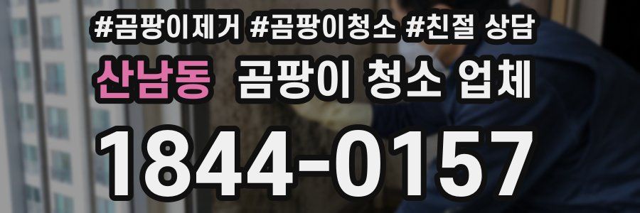 산남동 곰팡이 청소 업체