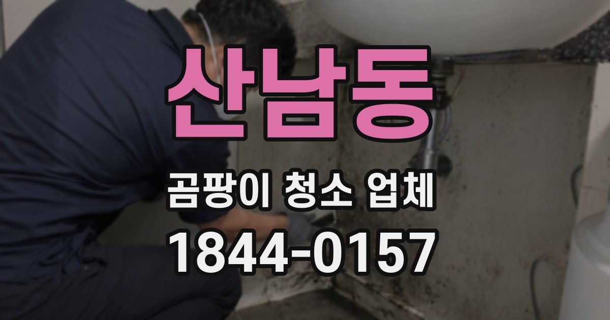 산남동 곰팡이 청소 업체