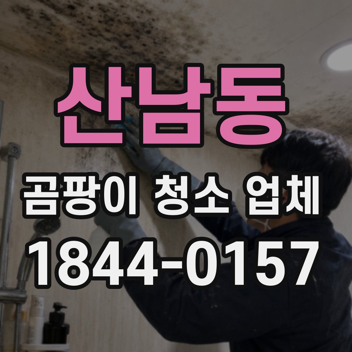 산남동 곰팡이 청소 업체