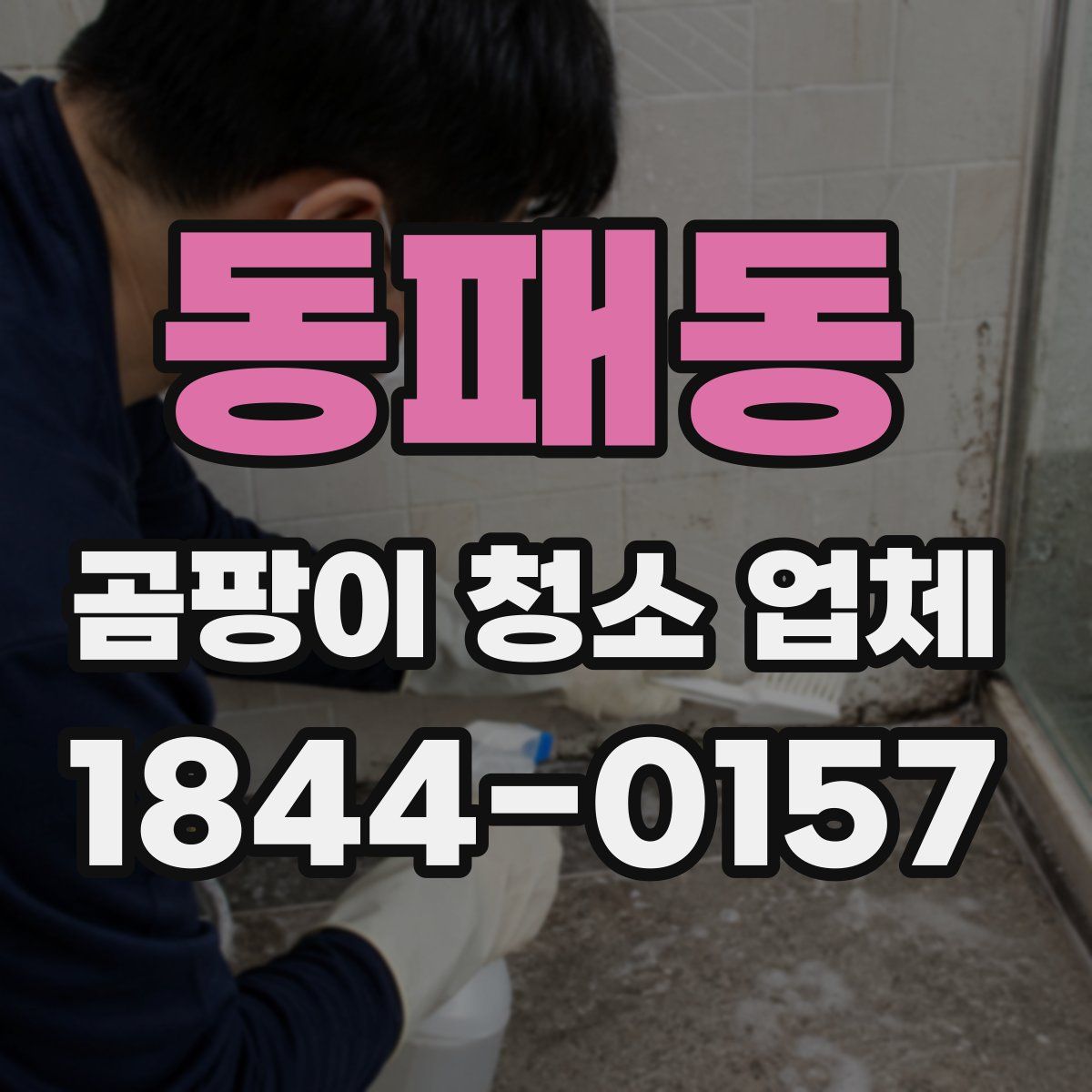 동패동 곰팡이 청소 업체