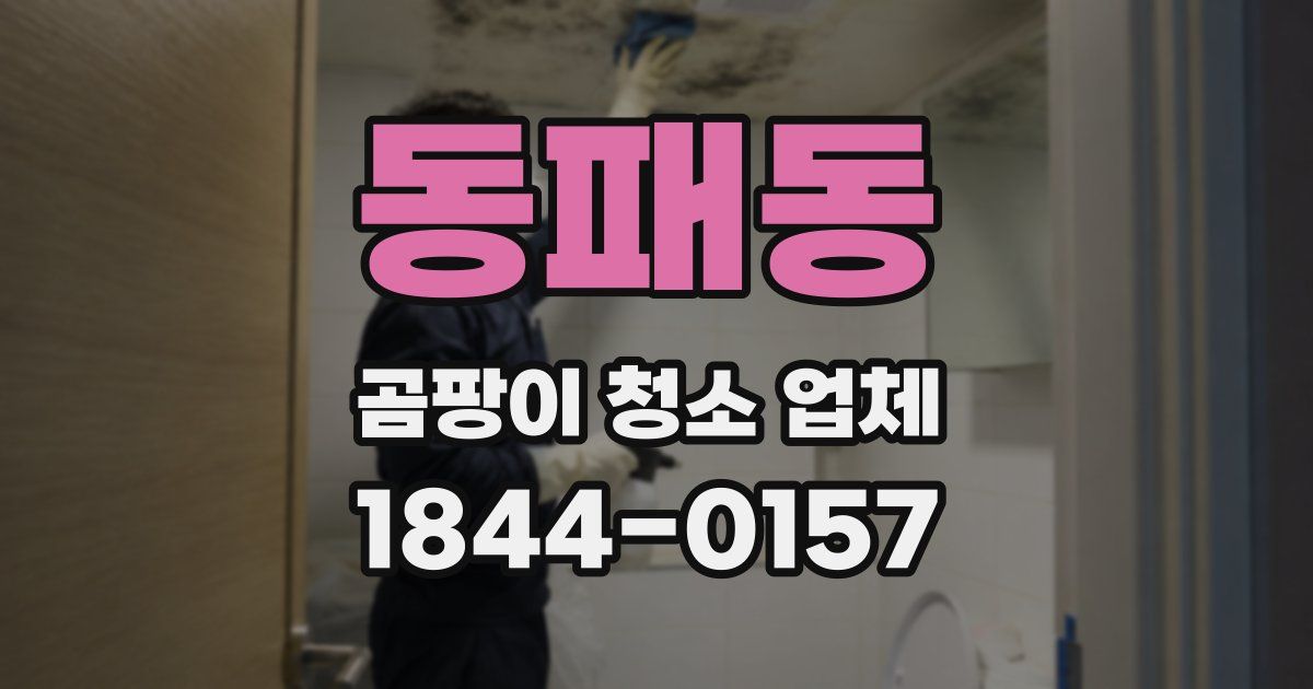 동패동 곰팡이 청소 업체