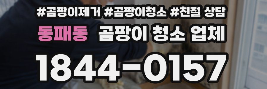 동패동 곰팡이 청소 업체