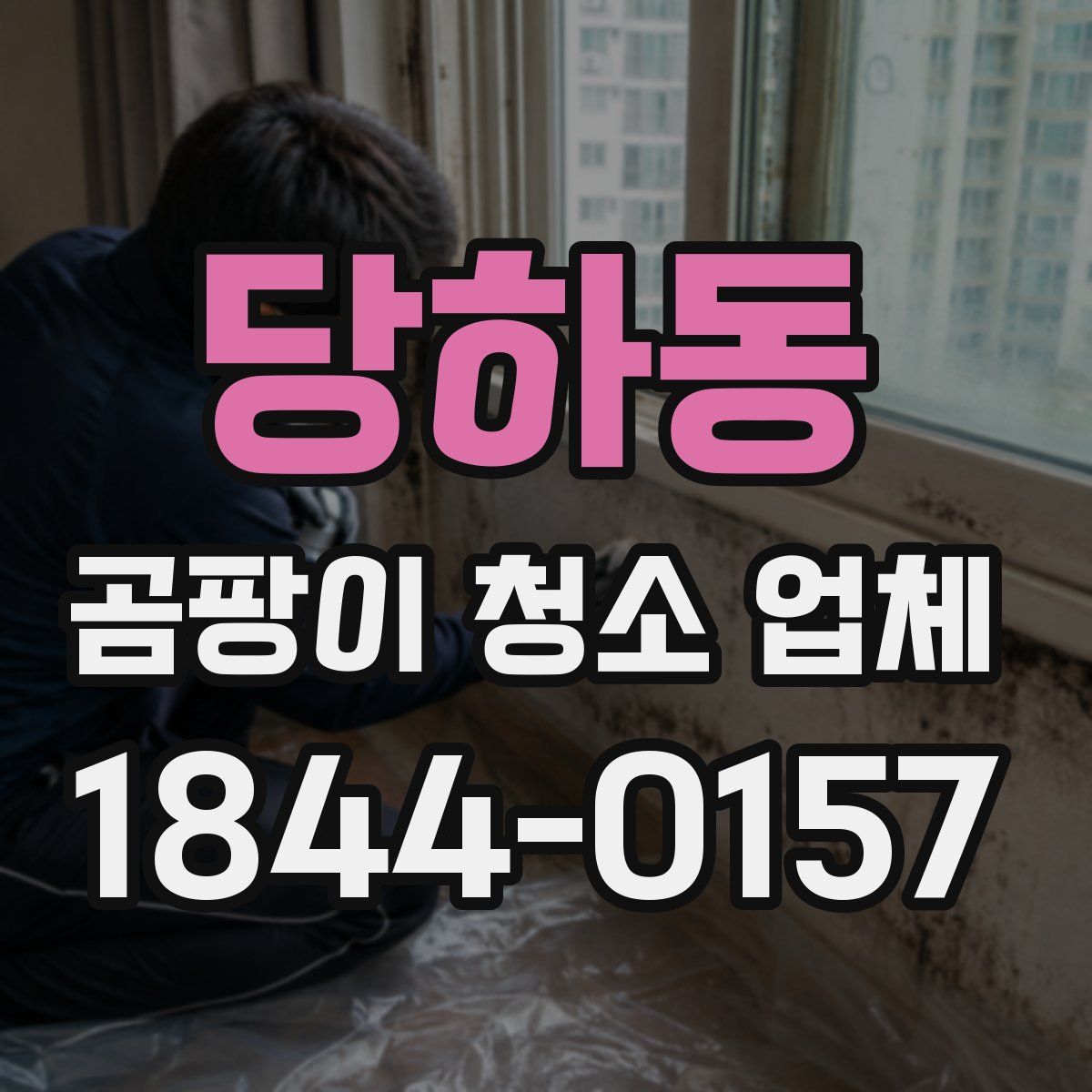 당하동 곰팡이 청소 업체