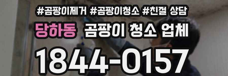 당하동 곰팡이 청소 업체
