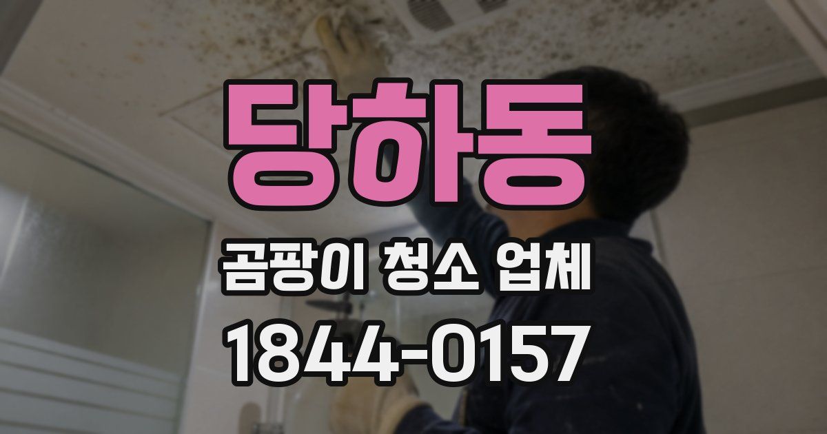 당하동 곰팡이 청소 업체