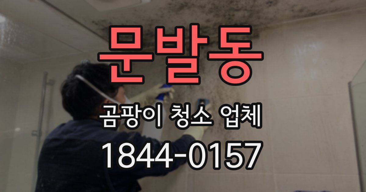 문발동 곰팡이 청소 업체
