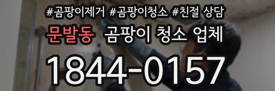 문발동 곰팡이 청소 업체