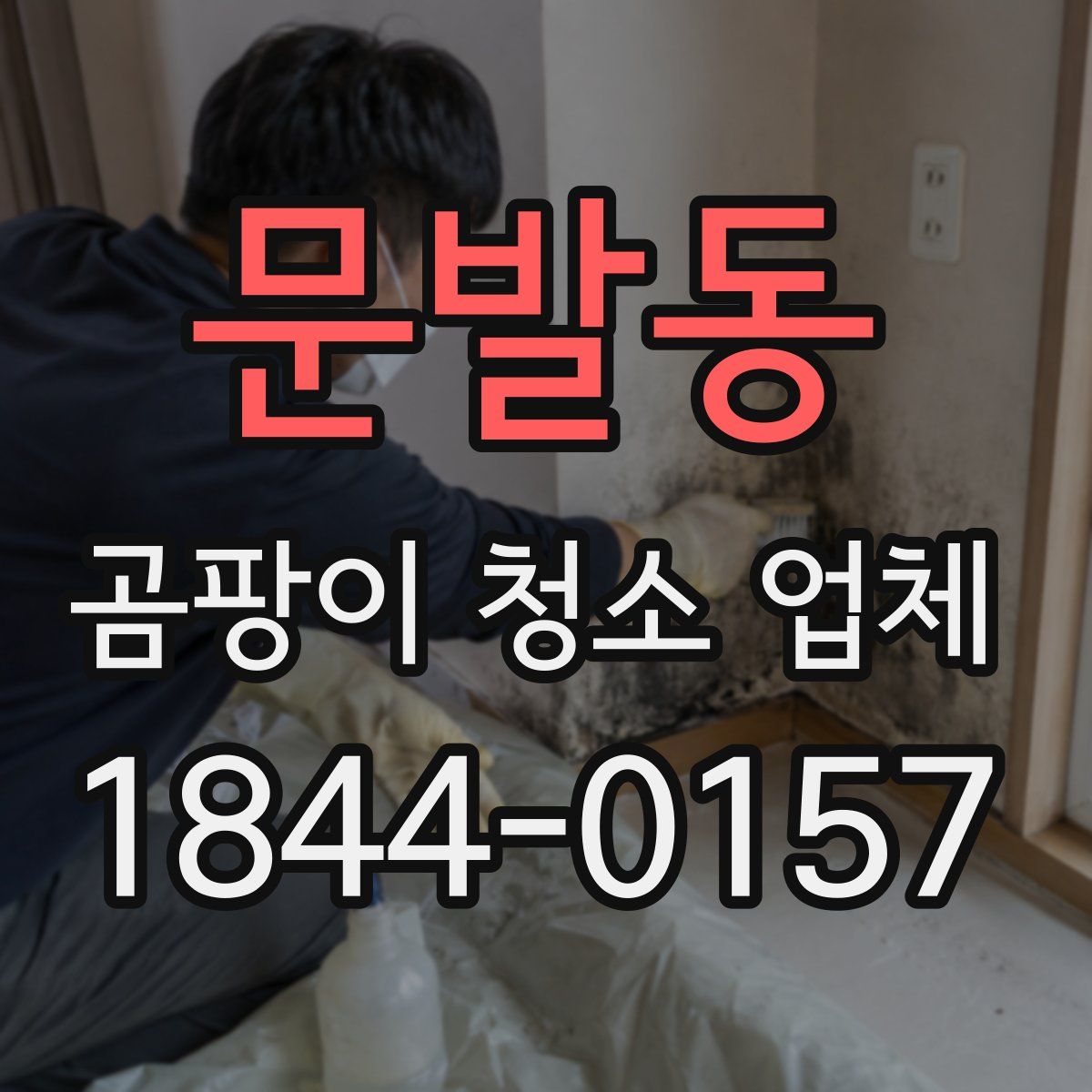 문발동 곰팡이 청소 업체