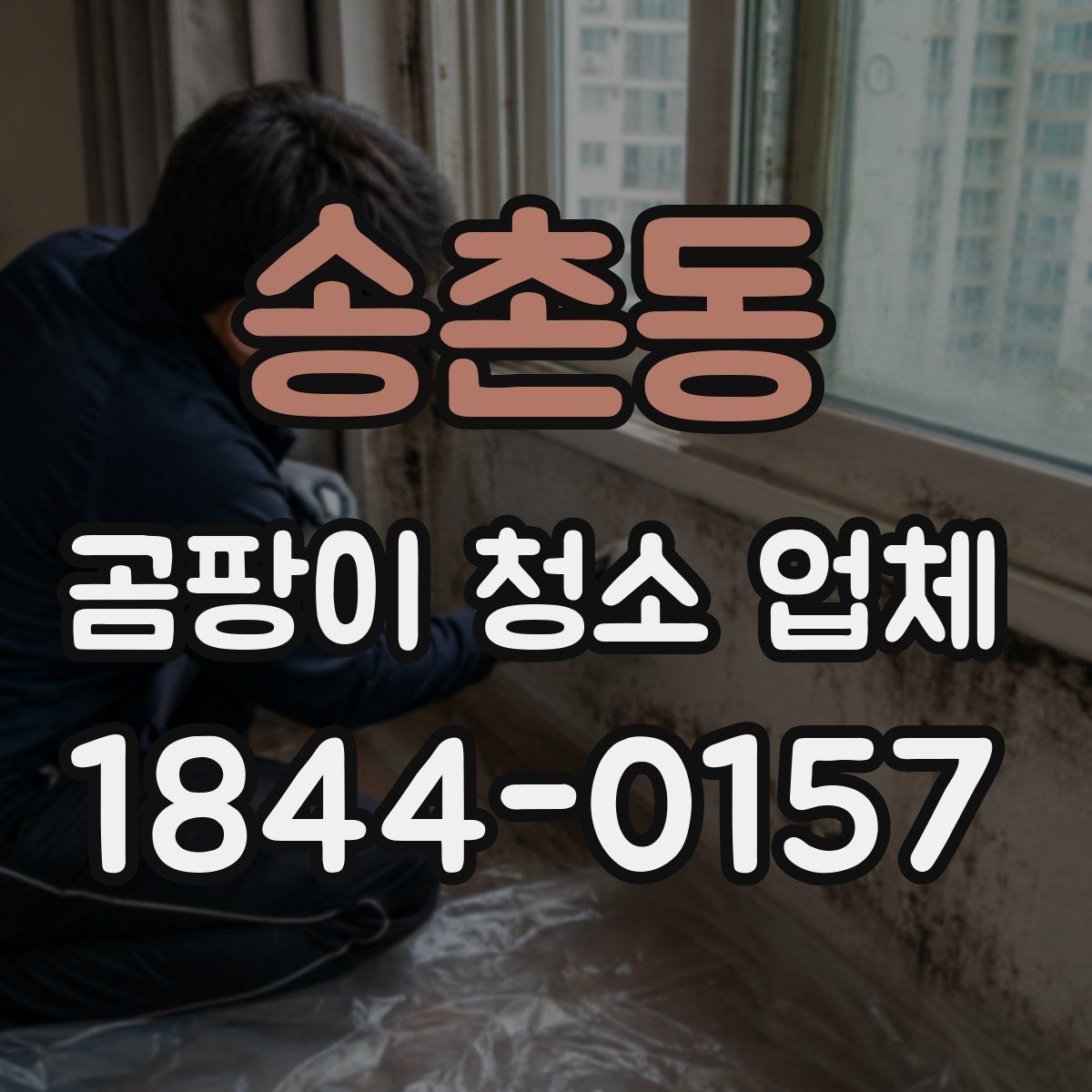 송촌동 곰팡이 청소 업체