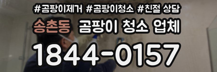 송촌동 곰팡이 청소 업체