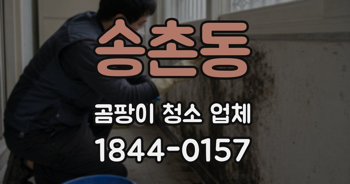 송촌동 곰팡이 청소 업체