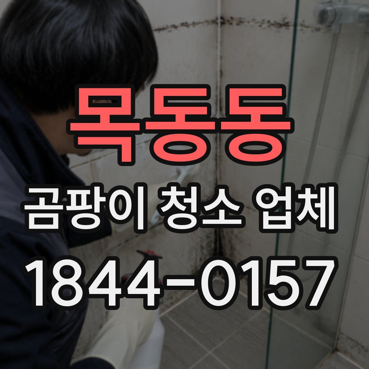목동동 곰팡이 청소 업체