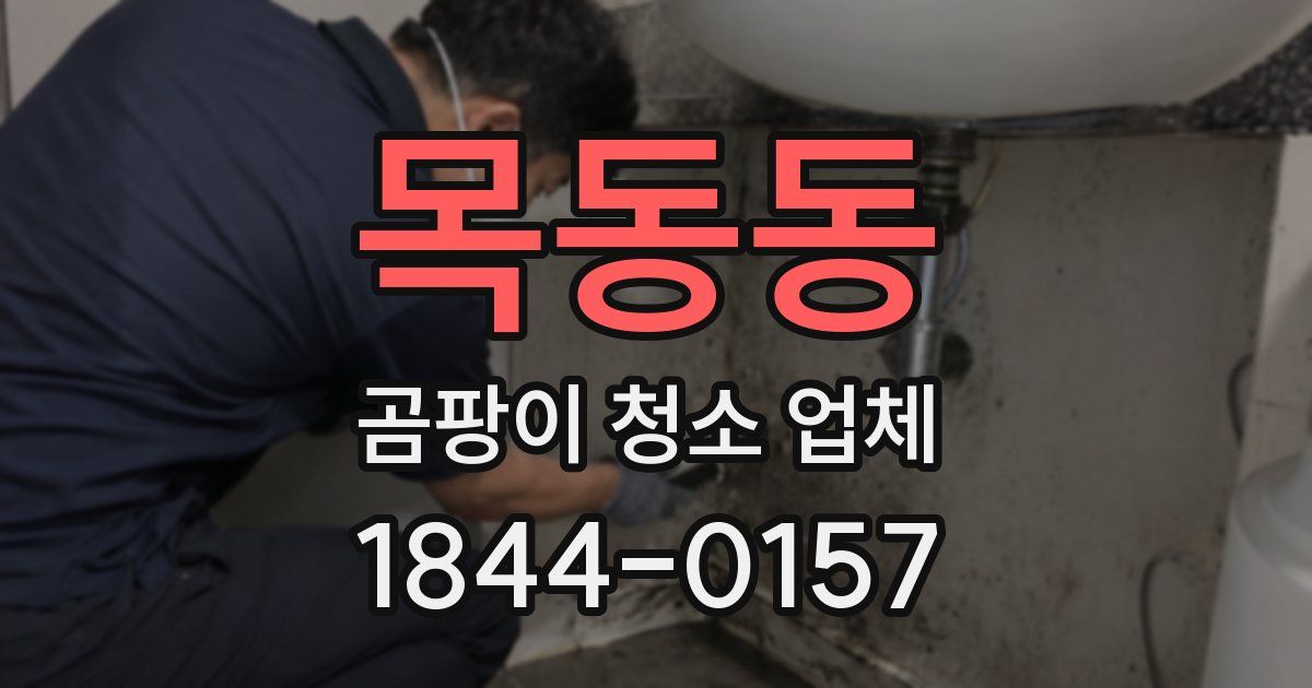 목동동 곰팡이 청소 업체