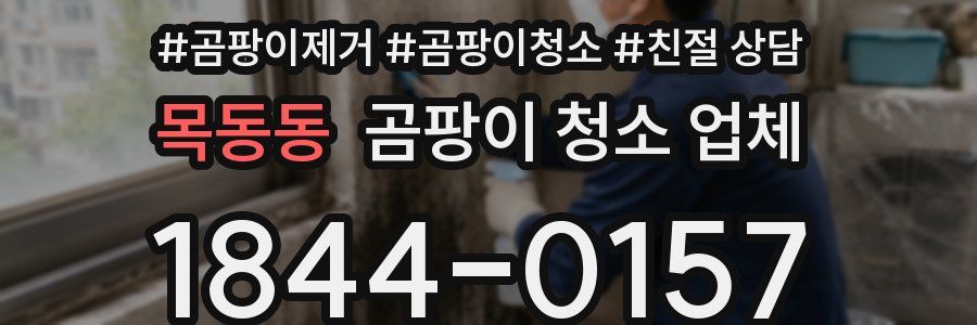 목동동 곰팡이 청소 업체