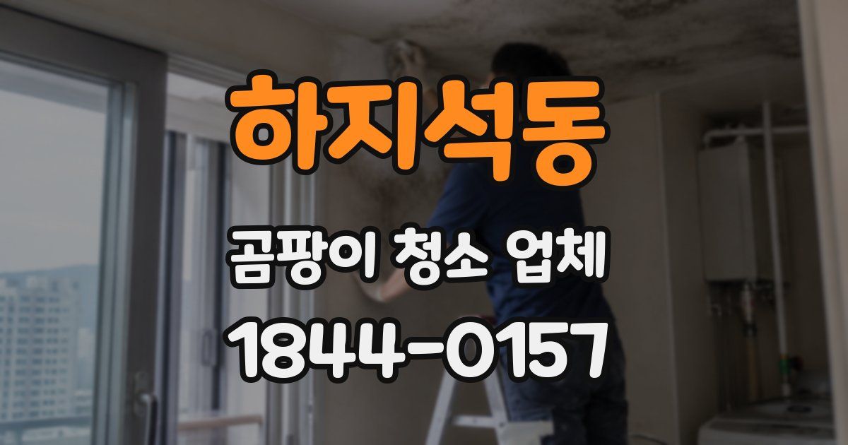 하지석동 곰팡이 청소 업체