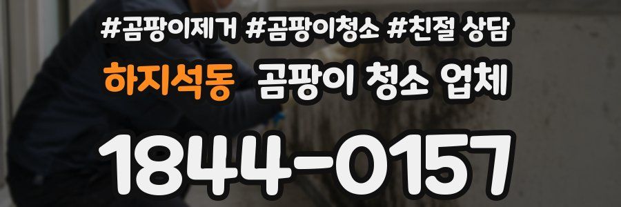 하지석동 곰팡이 청소 업체