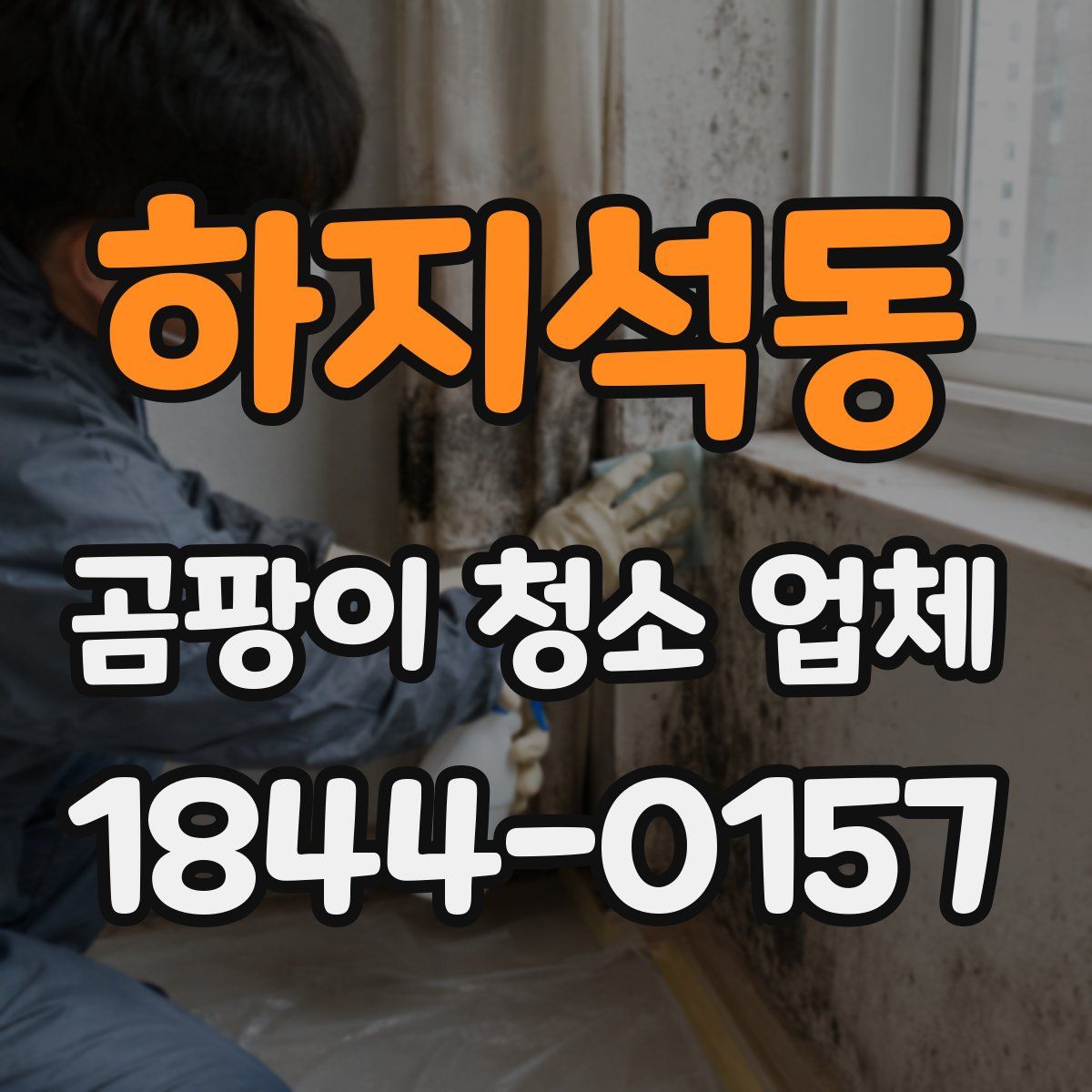 하지석동 곰팡이 청소 업체