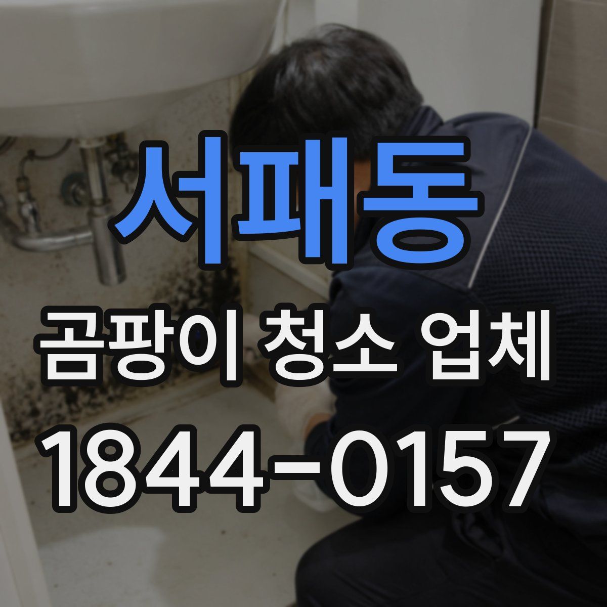 서패동 곰팡이 청소 업체