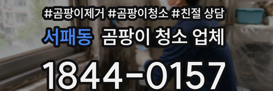 서패동 곰팡이 청소 업체