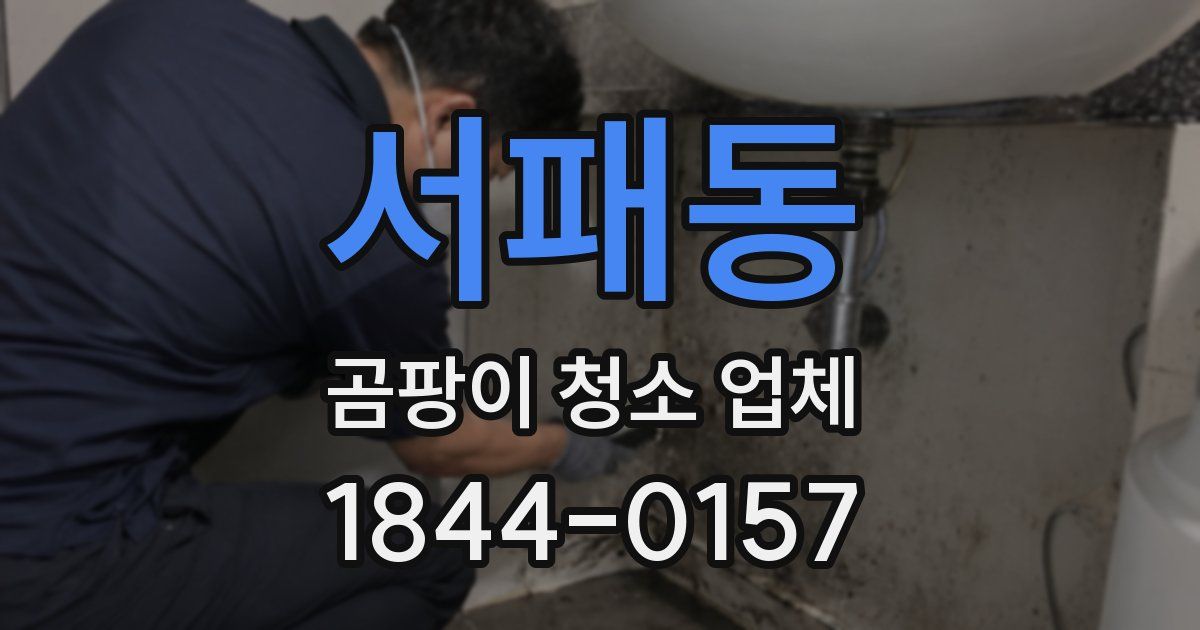 서패동 곰팡이 청소 업체
