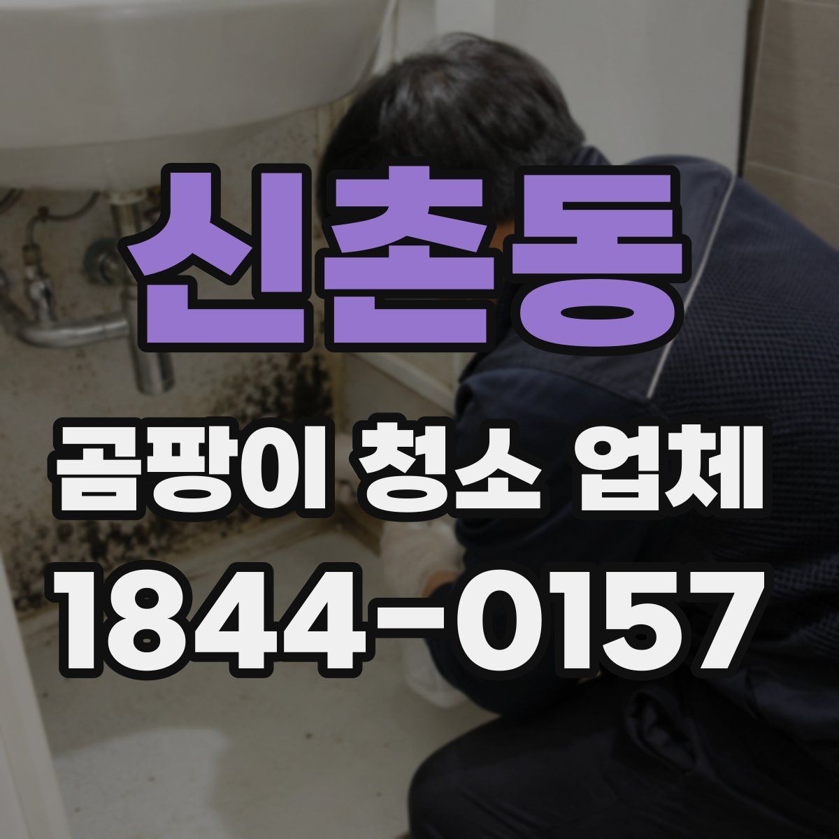 신촌동 곰팡이 청소 업체