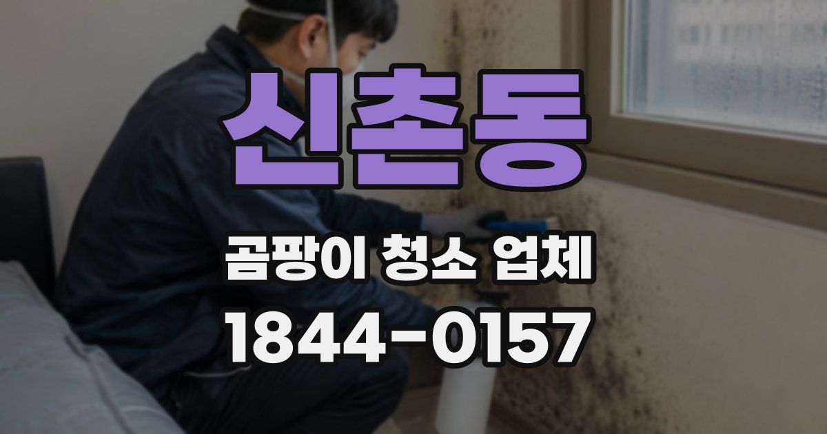 신촌동 곰팡이 청소 업체