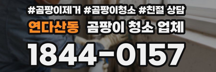 연다산동 곰팡이 청소 업체