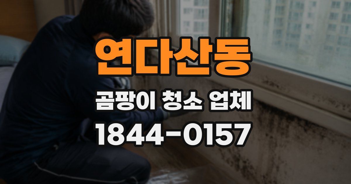 연다산동 곰팡이 청소 업체