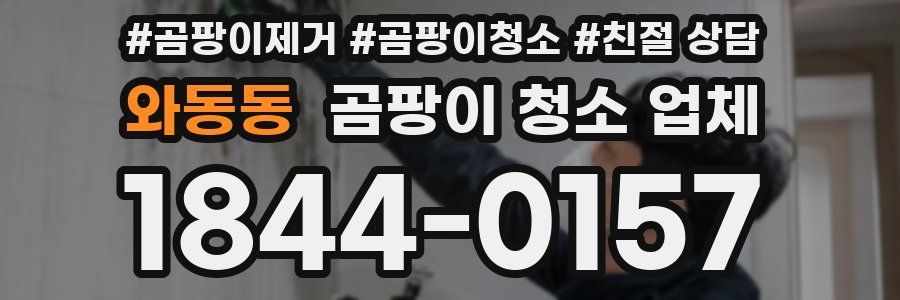 와동동 곰팡이 청소 업체