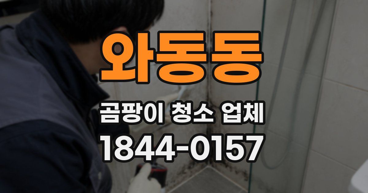 와동동 곰팡이 청소 업체