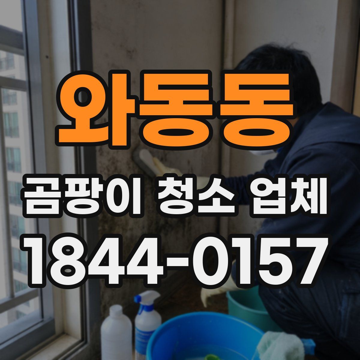 와동동 곰팡이 청소 업체