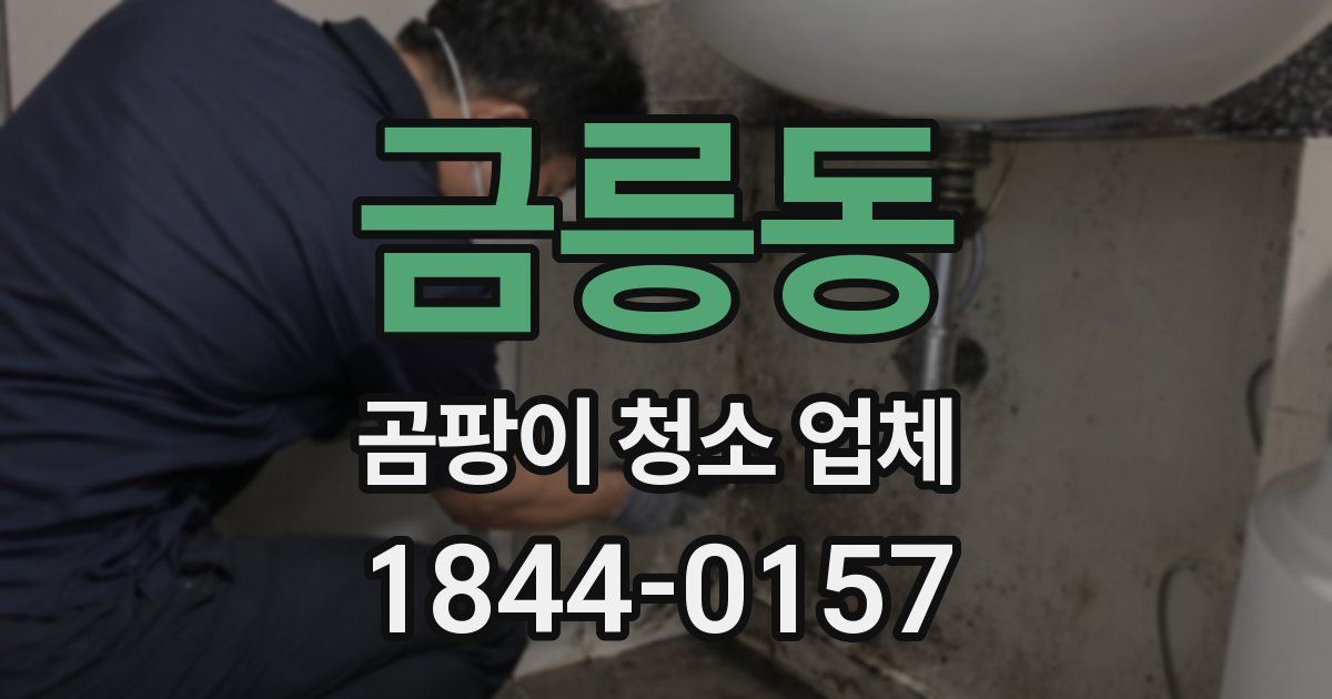 금릉동 곰팡이 청소 업체