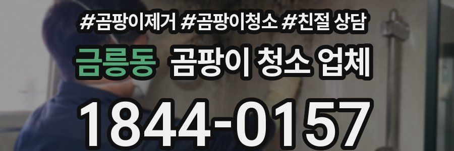 금릉동 곰팡이 청소 업체