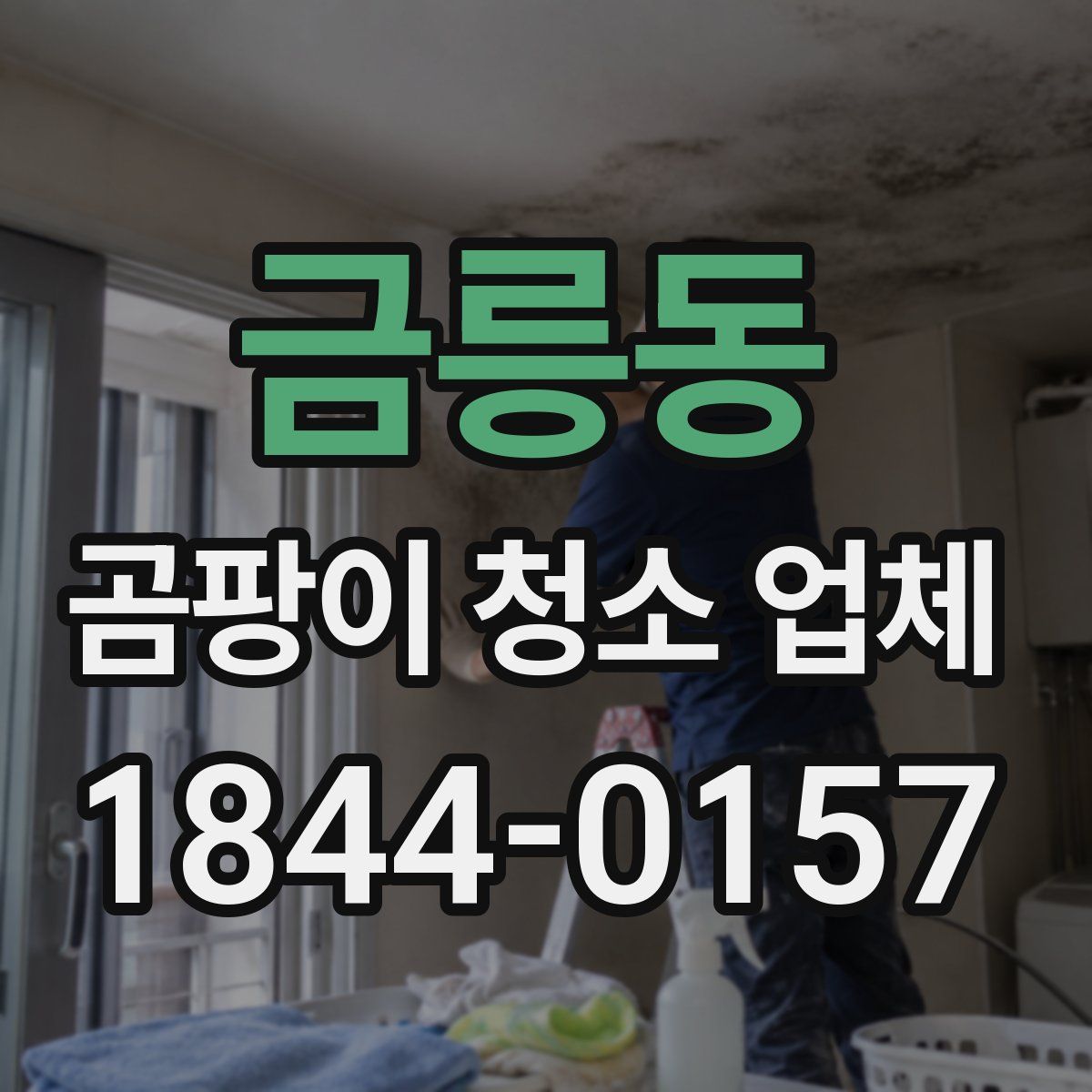 금릉동 곰팡이 청소 업체