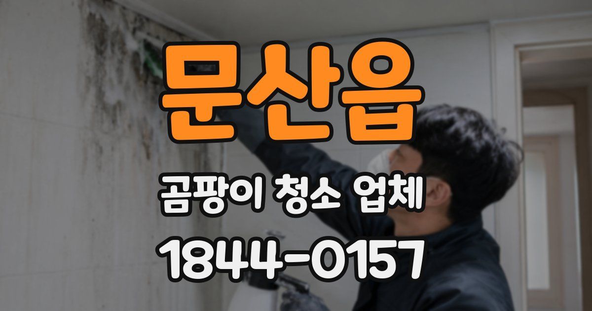 문산읍 곰팡이 청소 업체