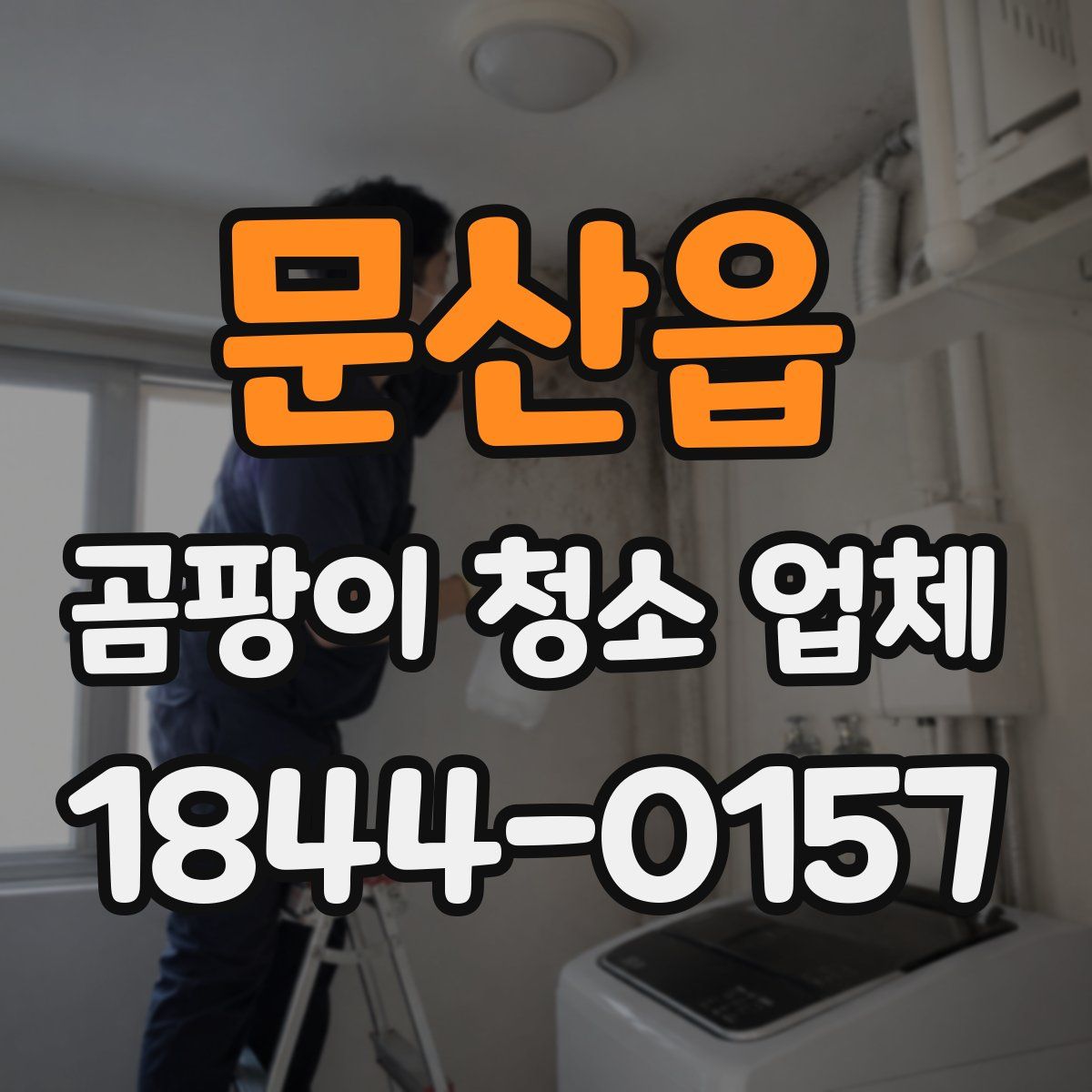 문산읍 곰팡이 청소 업체