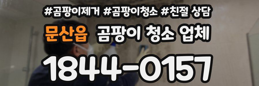 문산읍 곰팡이 청소 업체