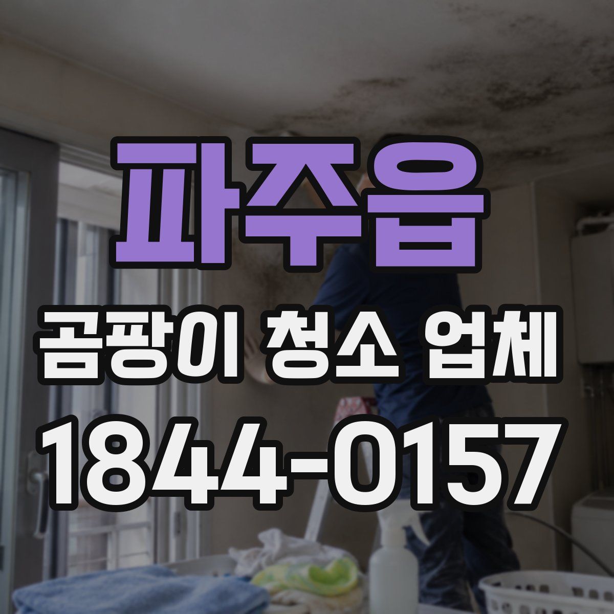 파주읍 곰팡이 청소 업체