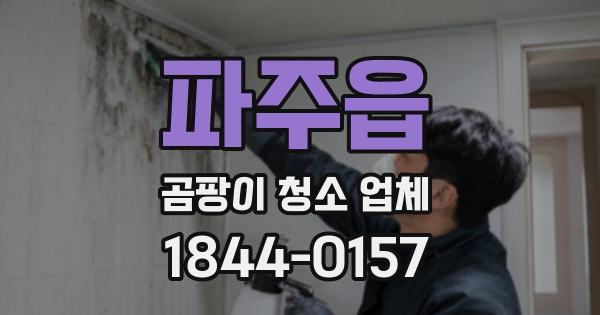 파주읍 곰팡이 청소 업체