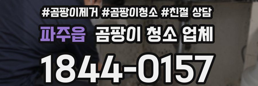파주읍 곰팡이 청소 업체