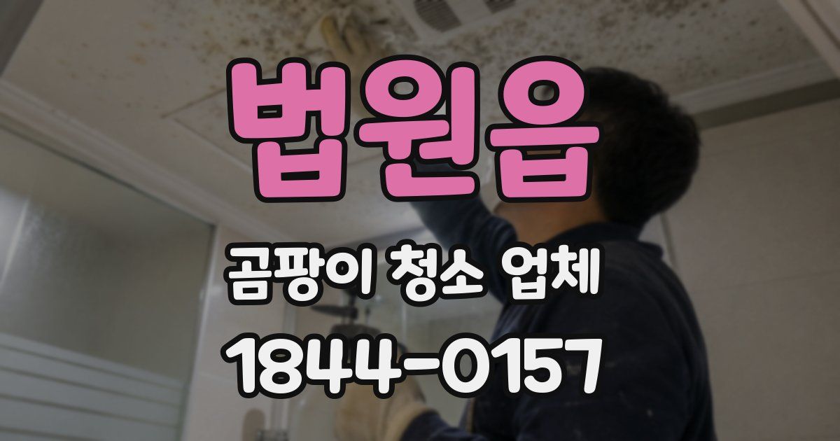 법원읍 곰팡이 청소 업체