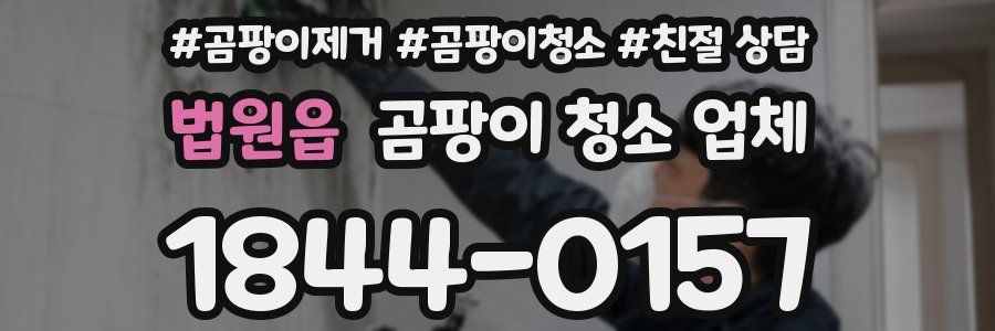 법원읍 곰팡이 청소 업체
