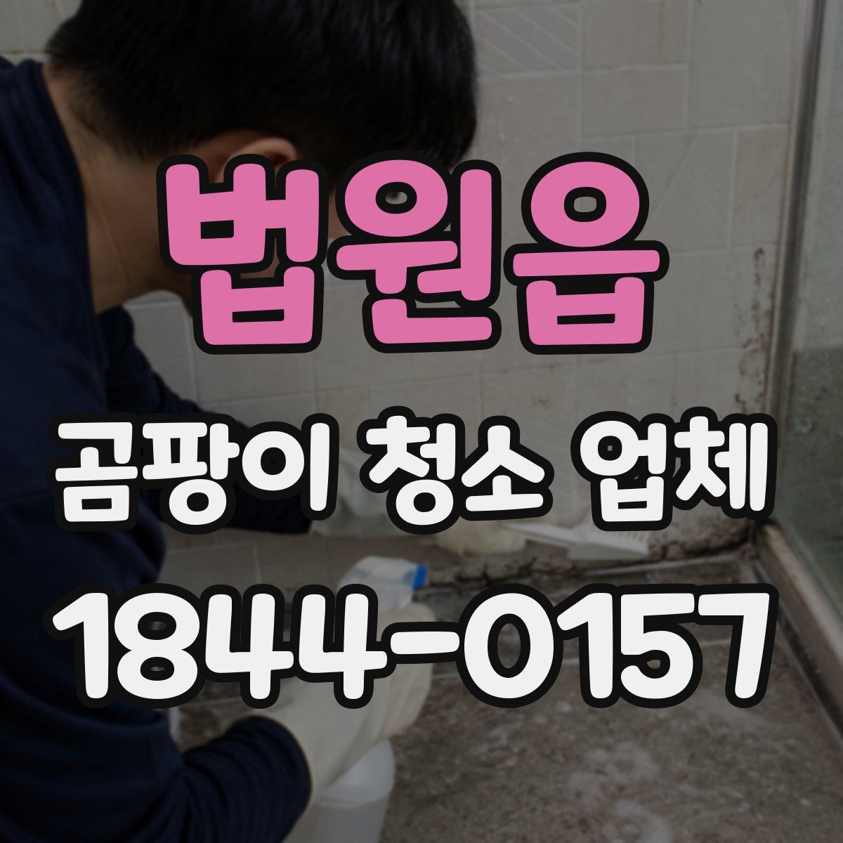 법원읍 곰팡이 청소 업체