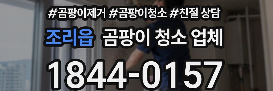조리읍 곰팡이 청소 업체