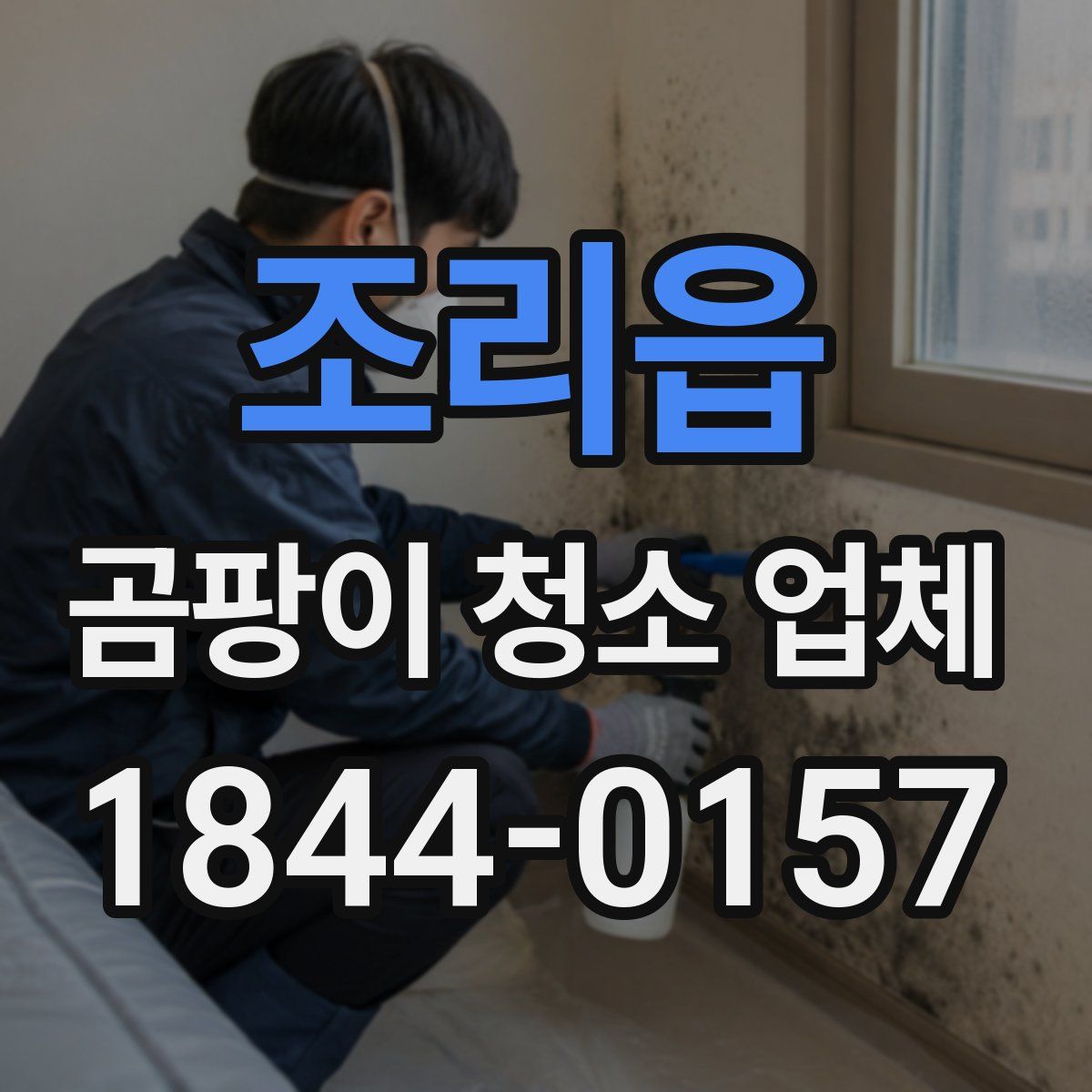조리읍 곰팡이 청소 업체