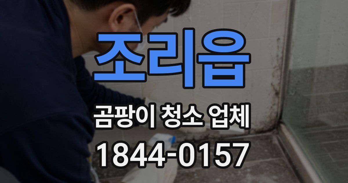 조리읍 곰팡이 청소 업체
